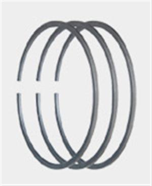 MOLY COATED RING